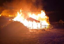 Incendiu violent la o casă din Harghita! Șase pisicuțe aflate în camera centralei termice au murit 7 | MyTex.ro