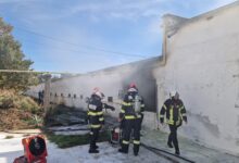 BRAȘOV | Incendiu la o fermă din Dumbrăvița! 3 | MyTex.ro