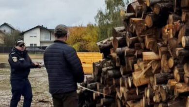 Săcele | MyTex.ro