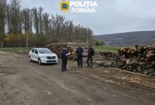 Peste 240 de metri cubi de lemn, confiscați de polițiștii brașoveni! Amenzi de 72.000 de lei în urma controalelor 5 Brașov | MyTex.ro
