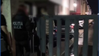 Percheziții | MyTex.ro
