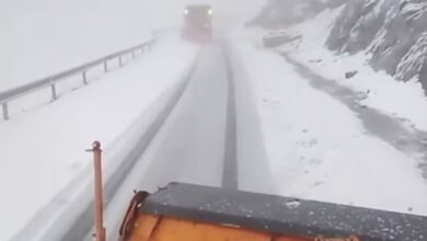 Transfăgărășan | MyTex.ro