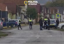 BRAȘOV | Razie de amploare în Măieruș și Crizbav! Amenzi de 30.000 de lei și bani confiscați 3 | MyTex.ro