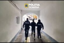 | MyTex.ro