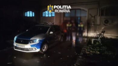 Făgăraș | MyTex.ro