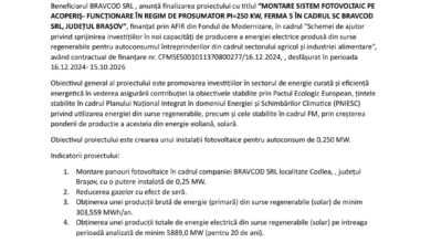 Bilet de avion de 10 euro | MyTex.ro