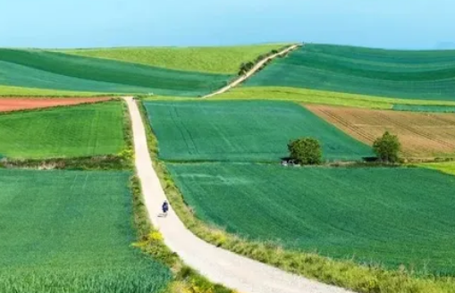 Camino | MyTex.ro