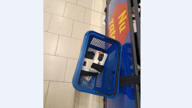 lidl | MyTex.ro