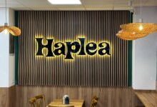 Brandul brașovean Haplea se extinde în București. Un prim restaurant în zona Dorobanți 8 | MyTex.ro
