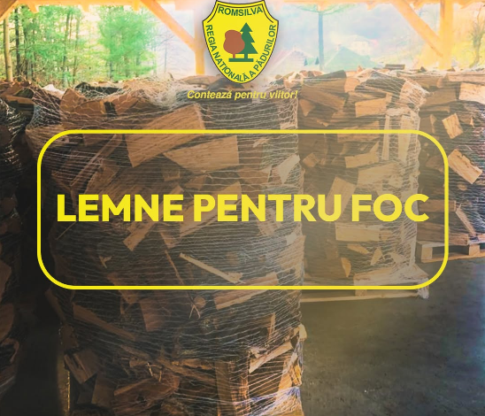 Lemne de foc de la Romsilva în 2026: Prețuri stabile și 2 milioane de metri cubi disponibili pentru populație 3 lemn | MyTex.ro