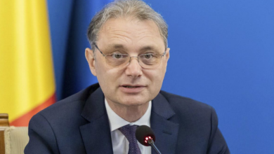 Luca Niculescu | MyTex.ro