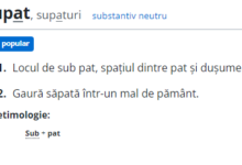 Ce înseamnă „supat”, cuvântul din DOOM 3 care a aruncat internetul în aer! Românii au izbucnit în râs: „Treceți-l și pe umpic!” 5 ITM | MyTex.ro