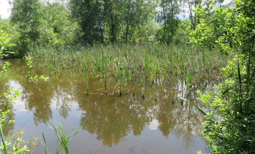 Aproape 13 milioane de lei pentru un nou parc public la Victoria: Investiție din fonduri europene prin Programul „Regiunea Centru” 7 Victoria | MyTex.ro