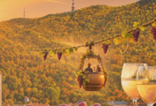 Oază de Bachus pe Tâmpa la Brașov: Merită 250 de lei pentru Sărbătoarea Vinului la Restaurantul Panoramic? 5 | MyTex.ro